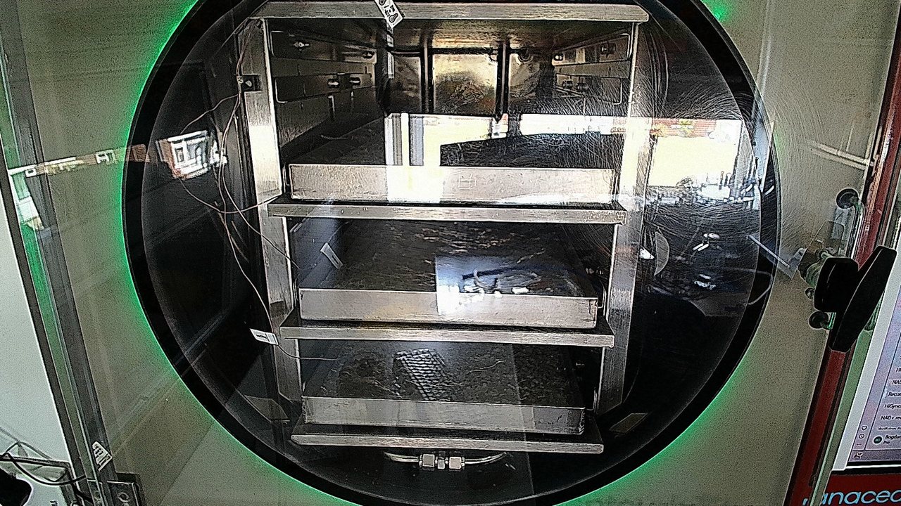 Cryoflare Point sublimation onset captured during primary drying — Panacea Bio Chem