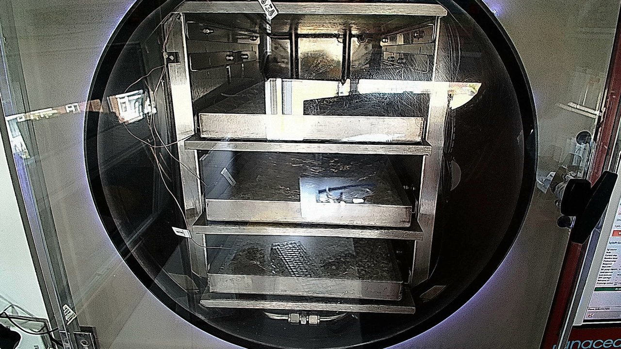 LyoLevit levitation captured mid-sublimation inside the Lyochrysalis chamber — Panacea Bio Chem